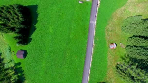 フォレスト全体で美しい道路の空撮 ビデオ — ストック動画