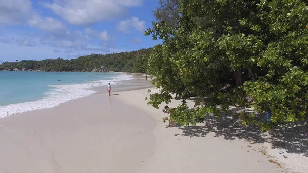 Schöner Tropischer Strand Natur — Stockfoto