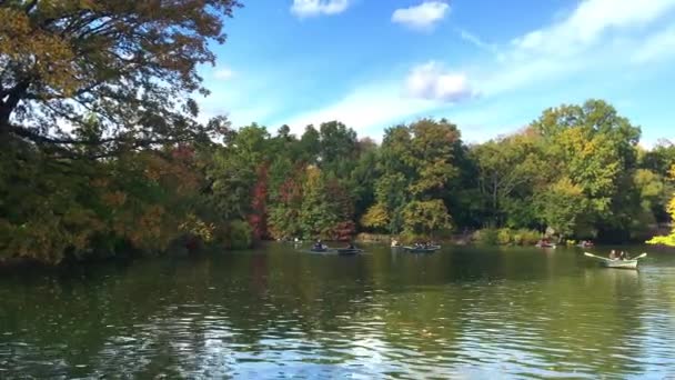 美国纽约中央公园湖上的小船 — 图库视频影像
