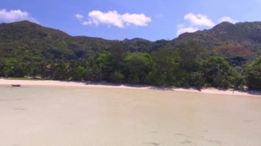 şaşırtıcı tropikal plaj ve okyanus kıyısında, video