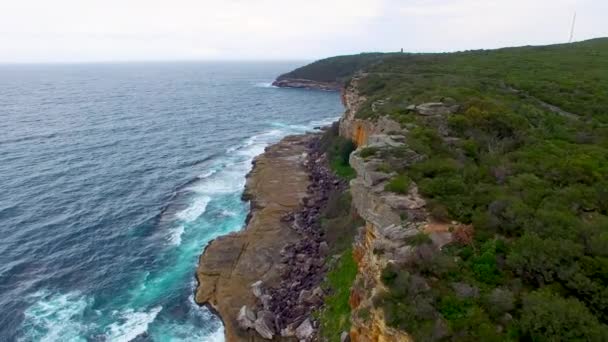 Vackra Flygfoto Shelly Beach Kusten Australien Video — Stockvideo
