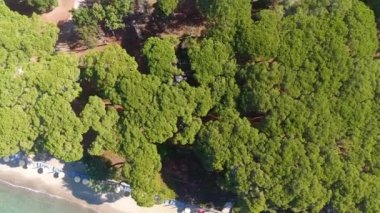 Ek yükü panoramik Akdeniz kıyı şeridi ve pinewood, Tuskany, İtalya. Video