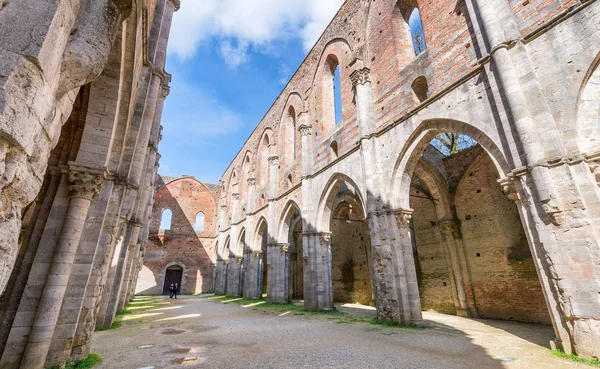 San Galgano Siena Toscana Itália Famosa Catedral Aberta — Fotografia de Stock