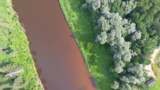 Increíble Vista Aérea Del Parque Nacional Gauja Vidzeme Parque Nacional — Vídeo de stock