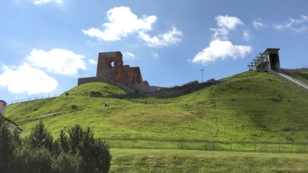 Vista Aérea Das Ruínas Castelo Vilnius Vídeo — Vídeo de Stock
