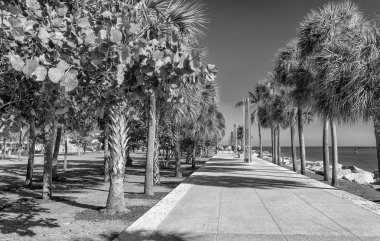 Güney Pointe Park bir güzel kış günü, Miami - Florida.