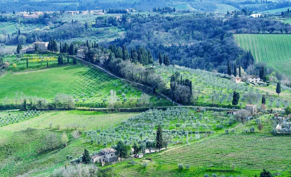意大利的托斯卡纳 精彩运动的区域农村在春暖花开的季节 — 图库照片
