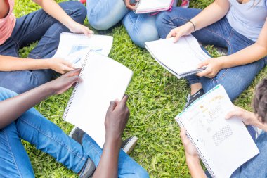 Çok etnik genç açık grup onların dizüstü bilgisayarlar ile çimlerin üzerine oturmuş.