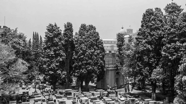 Letecký Pohled Hřbitov Židů Náměstí Zázraků Sněhem Pisa — Stock fotografie