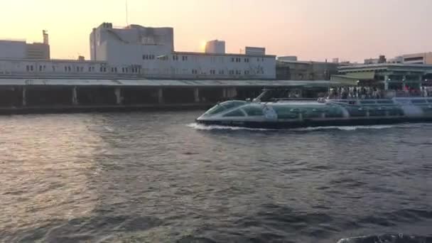 Tokio Mayo 2016 Los Turistas Ferry Horizonte Ciudad Atardecer Visto — Vídeos de Stock