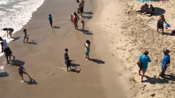 Flygfoto Över Santa Monica State Beach California State Park Drivs — Stockvideo