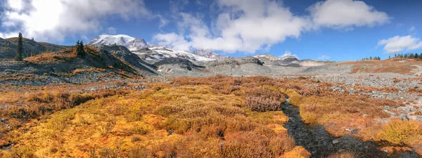 Vue Panoramique Sur Paysage Mont Rainier Par Une Belle Journée — Photo