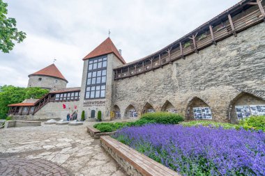 Tallinn, Estonya - 2 Temmuz 2017: Neitsitorn Müzesi, dış görünümü. Bu Tallinn büyük bir cazibe olduğunu.