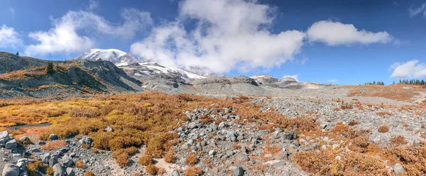 Vue Panoramique Sur Paysage Mont Rainier Par Une Belle Journée — Photo