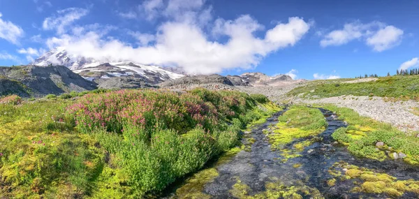 Panorámás Kilátás Nyílik Rainier Creek Gleccser Egy Szép Nyári Napon — Stock Fotó