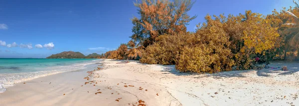 Playa Cote Praslin Seychelles Vista Panorámica — Foto de Stock