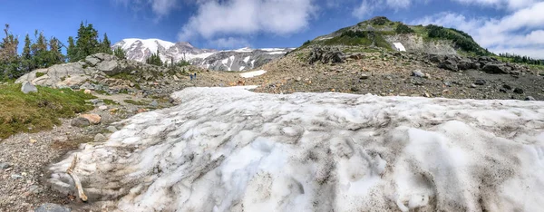 Panoramic View Rainier Glacier Beautiful Summer Day — Stock Photo, Image