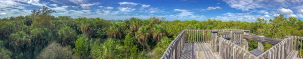 Wooden Path Everglades Panoramic View — Stock Photo, Image