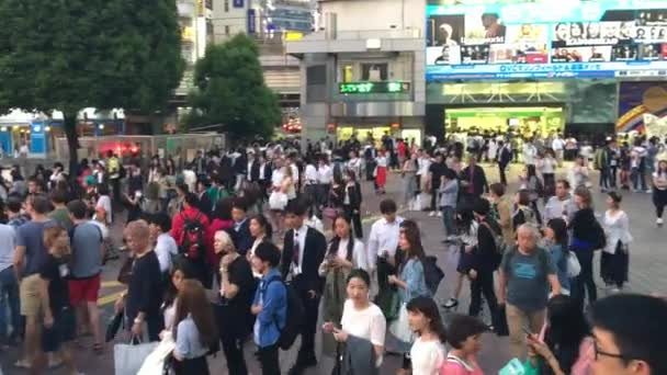 Tokio Květen 2016 Budovy Lidé Křižovatce Shibuya Tokyo Přitahuje Milionů — Stock video