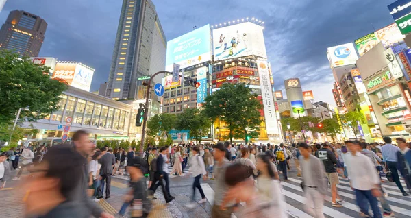 Tokio Japonia Czerwca 2016 Budynki Reklamy Shibuya Roku Mln Turystów — Zdjęcie stockowe