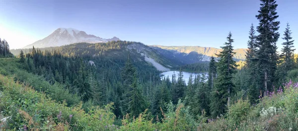 Πανοραμική Θέα Της Rainier Λίμνη Και Δάσος Μια Όμορφη Καλοκαιρινή — Φωτογραφία Αρχείου