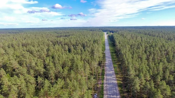 Yol boyunca orman havadan görünümü.