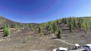 Santiago del Teide, hava görünümünü Tenerife, Santa Cruz de Tenerife, Kanarya Adaları, İspanya ilinin ada. Video