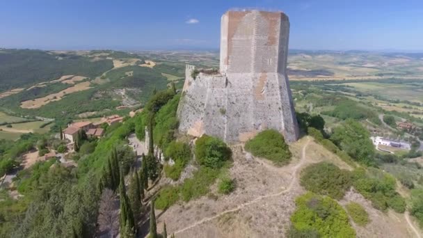 Veduta Aerea Delle Rovine Del Castello Video — Video Stock