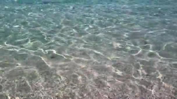 Clean Sea Water Ripple Sunny Day — Stock Video