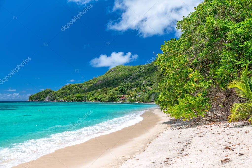 Amazing beach and vegetation in Seychelles.