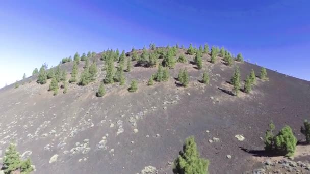 Vista Aérea Montaña Vulcana Con Árboles Crecimiento Video — Vídeos de Stock
