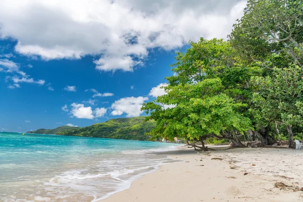 Fantastisk Strand Och Vegetation Seychellerna — Stockfoto