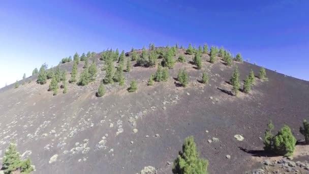 Αεροφωτογραφία Του Vulcan Βουνό Καλλιέργεια Δέντρων Βίντεο — Αρχείο Βίντεο