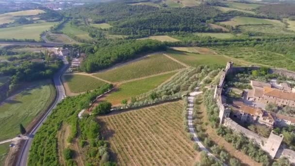 開いている田舎の円形の壁に囲まれた中世の町の空中パノラマ ビュー — ストック動画
