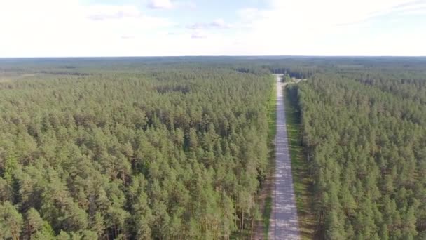 Aerial View Road Forest — Stock Video