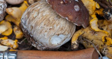 çörek ve bir bıçak ile mantar sepeti