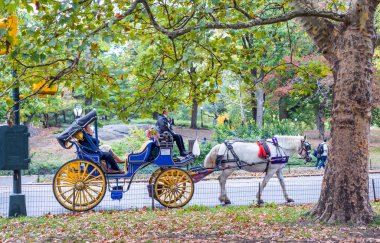 NEW YORK CITY - OCTOBER 25, 2015: Horse carriage makes tour for tourists in Central Park on a autumn day. This is a famous attraction for New York visitors. clipart