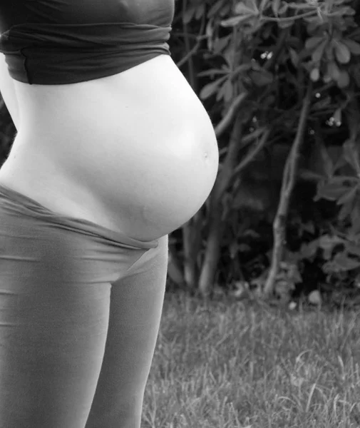 Vientre Una Mujer Embarazada Semanas —  Fotos de Stock