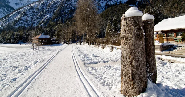 Снежный Ландшафт Клещей Растет Зимний Сезон Италии — стоковое фото
