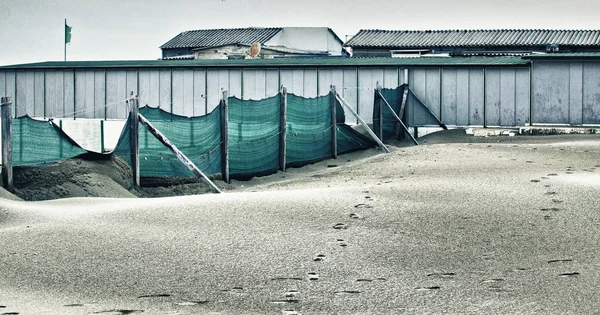 Havet Och Klipporna Marina Pisa Italien — Stockfoto