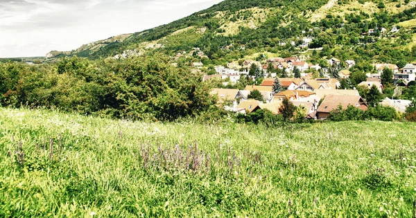 ブラチスラヴァ デヴィン城遺跡と夏色の植生 ヨーロッパ — ストック写真