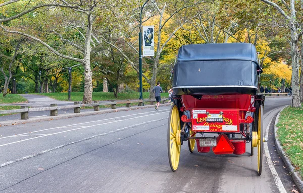Nueva York City Octubre 2015 Carruaje Caballos Hace Recorrido Para —  Fotos de Stock