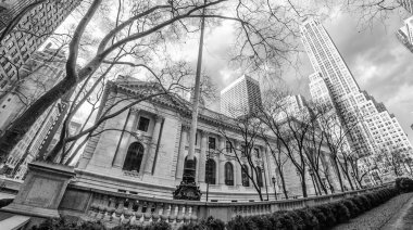 New York Halk Kütüphanesi ve Çevresindeki Gökdelenler, ABD.