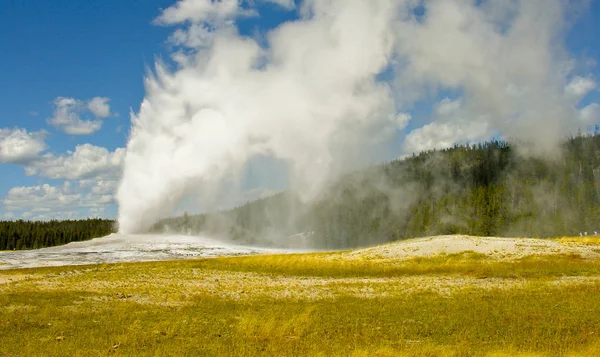 Híres Old Faithful Gejzír Yellowstone Nemzeti Parkban — Stock Fotó