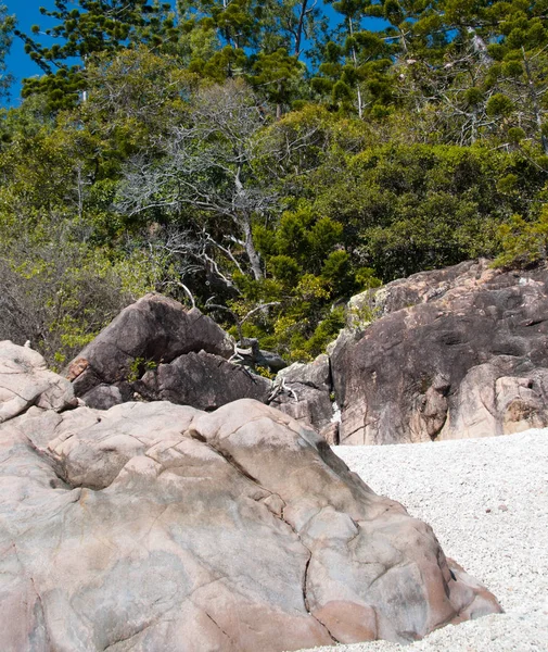 Nature Whitsunday Islands Archipelago — Stock Photo, Image