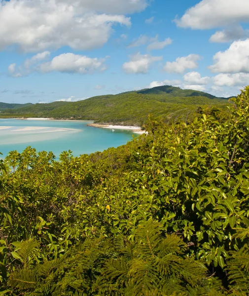 Plaża Whitehaven Archipelagu Whitsundays Queensland Australia — Zdjęcie stockowe