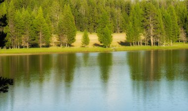 Yellowstone Ulusal Parkı, Wyoming