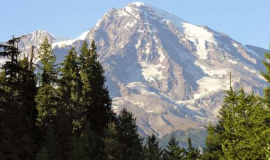 Washington, Rainier Dağı yakınlarındaki bitki örtüsü
