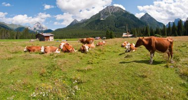 Val Visdende 'nin Dolomitler Çayırı, İtalya