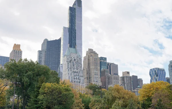 Bir park, New York şehir manzarası.